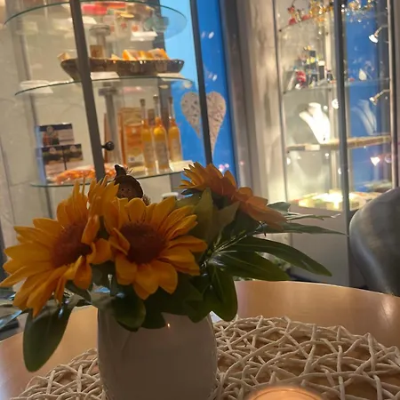 Отель Mueritz-strandhotel 4*